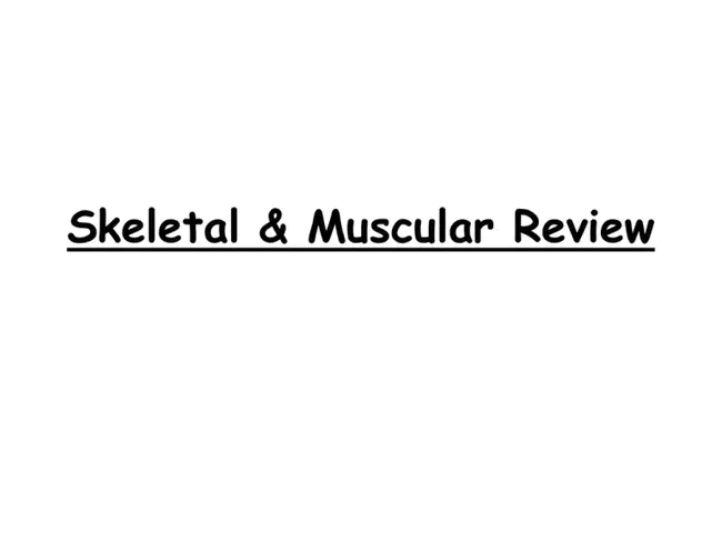 Bone Tissue And Muscle : 骨组织和肌肉