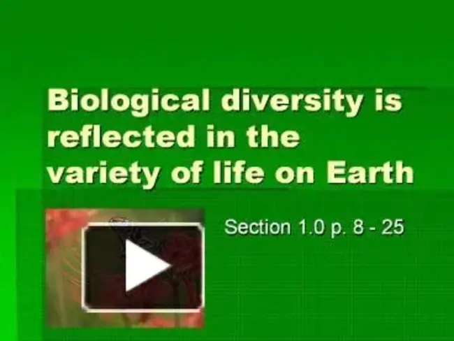 Biological Order Diversity : 生物级多样性