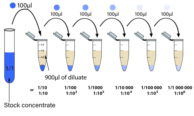 Dilution Of Precision : 精度稀释