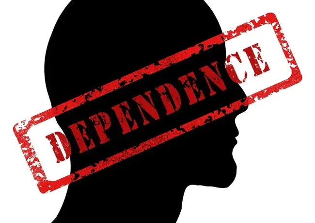 Dependence Report : 依赖性报告