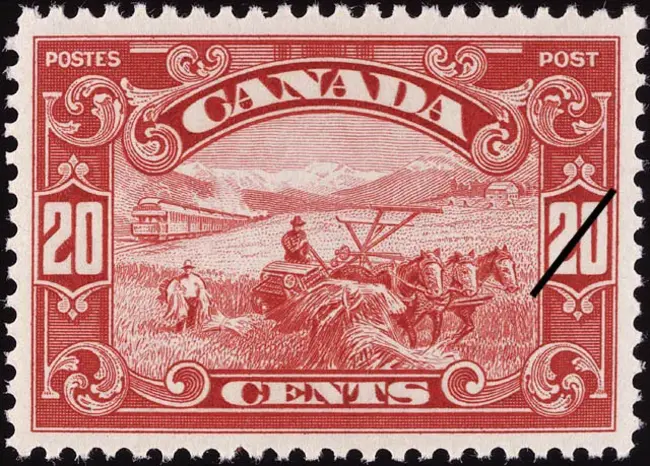 Date Stamp : 日期戳