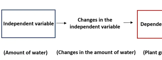Dependent Variable : 因变量