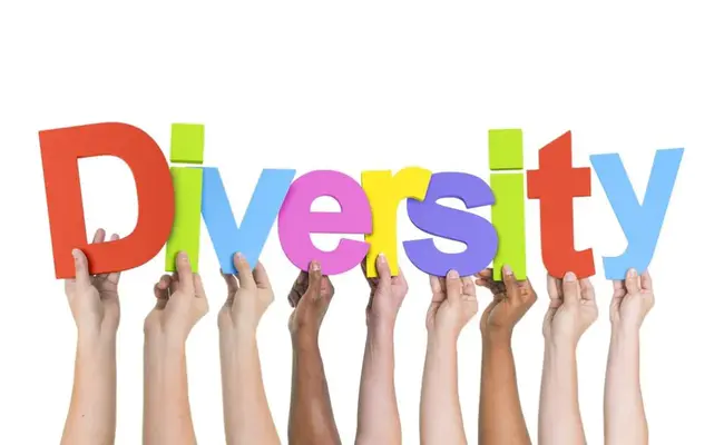 Diversity Value : 多样性价值