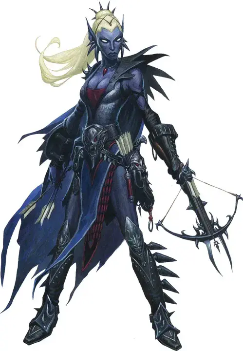 Drow Warriors : 卓尔战士