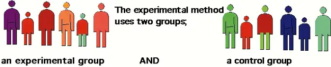 Experimental Autoimmune Encephalomyelitis : 实验性自身免疫性脑脊髓炎