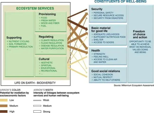 Ecosystem Diagnosis And Treatment : 生态系统诊断与治疗