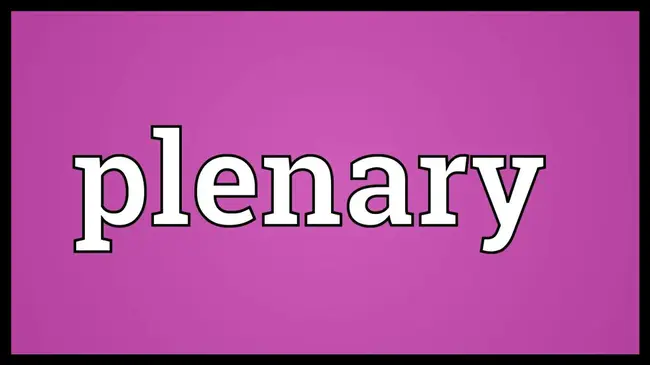 Plenary : 全体会议