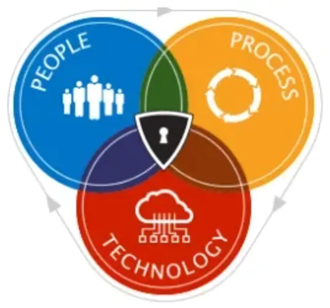 Economy, Ecology, and Technology : 经济、生态和技术