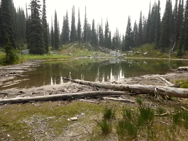 East Kootenays : 东库特尼