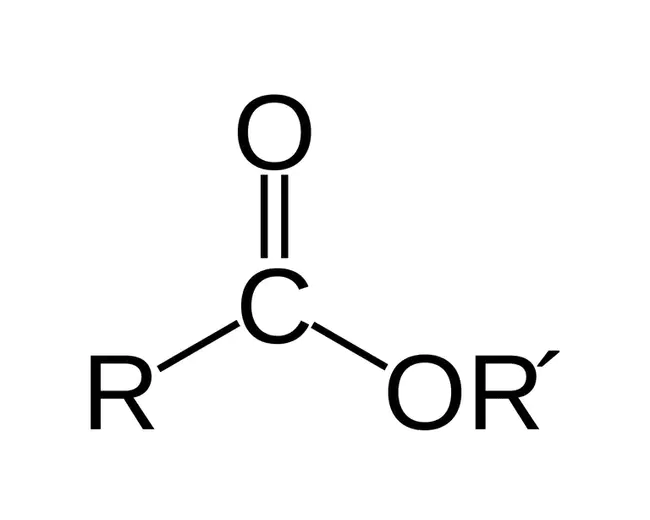 Ester Like Ether : 酯类醚