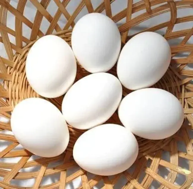 Egg White : 蛋清