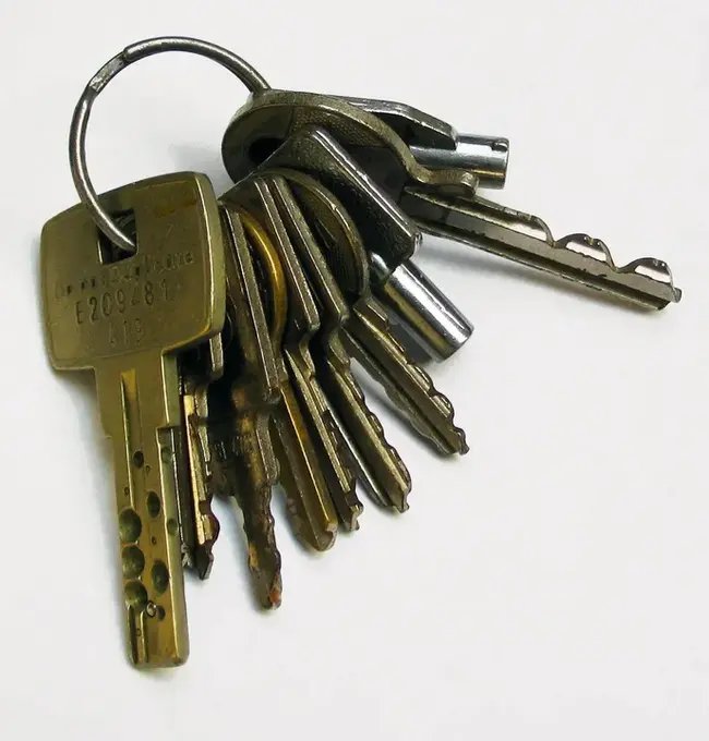 Keys Canine : 钥匙犬