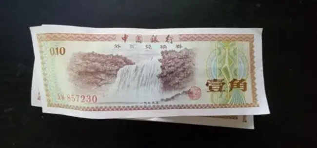 Foreign Exchange Certificate : 外汇证