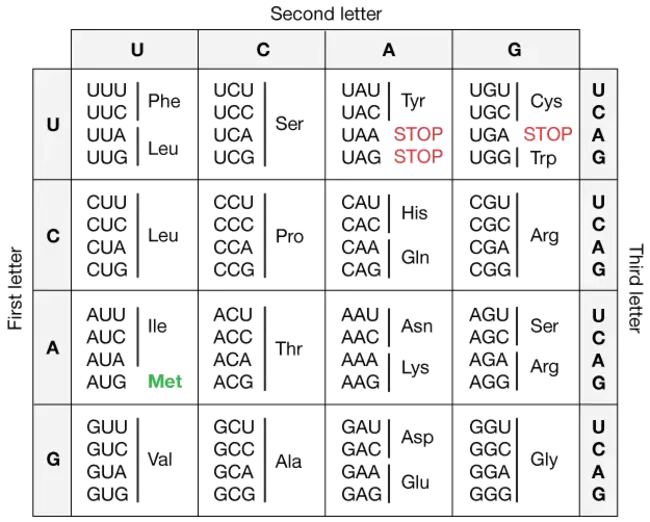 Genetic Compound : 遗传化合物