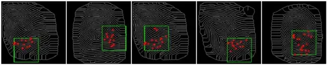Fingerprint Identification Unit : 指纹识别单元