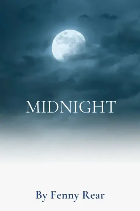 Midnight Insanity : 午夜精神错乱