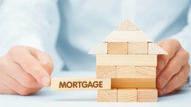 Mortgage Insurance : 抵押保险