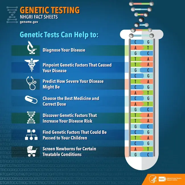 Genetic Algorithm Console : 遗传算法控制台