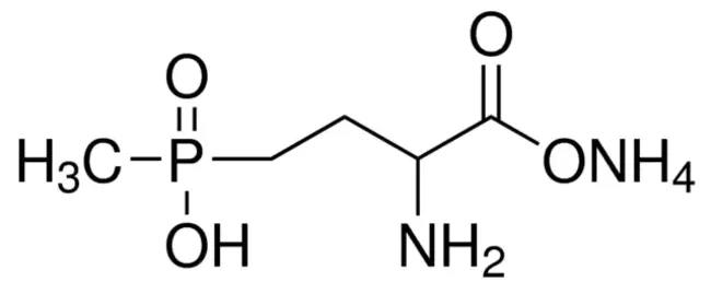 Glufosinate Resistant : 抗草胺磷