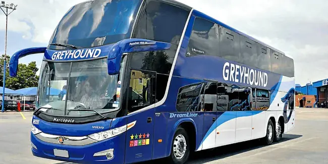 Greyhound Package Express : 灰狗包裹快递