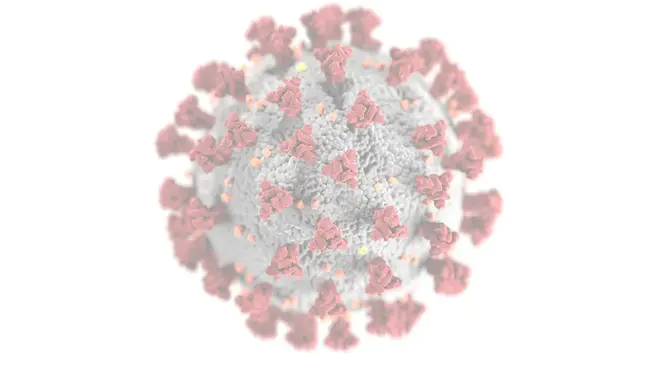 Genetic Disease Control : 遗传病控制