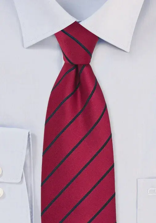 Tie Guy : 领带小伙