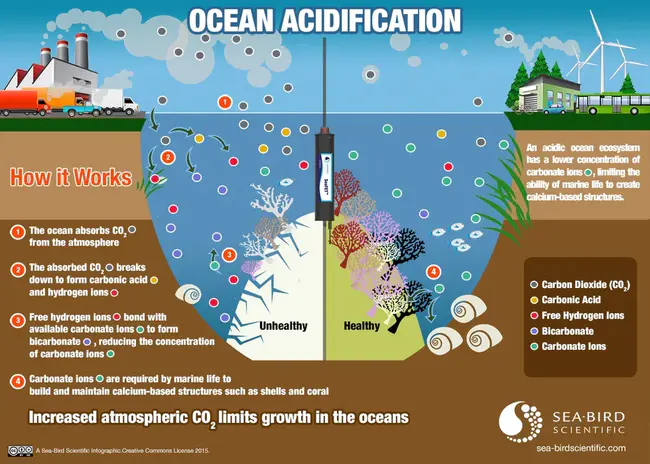 Acidification Volatilization Reneutralization : 酸化挥发再中和