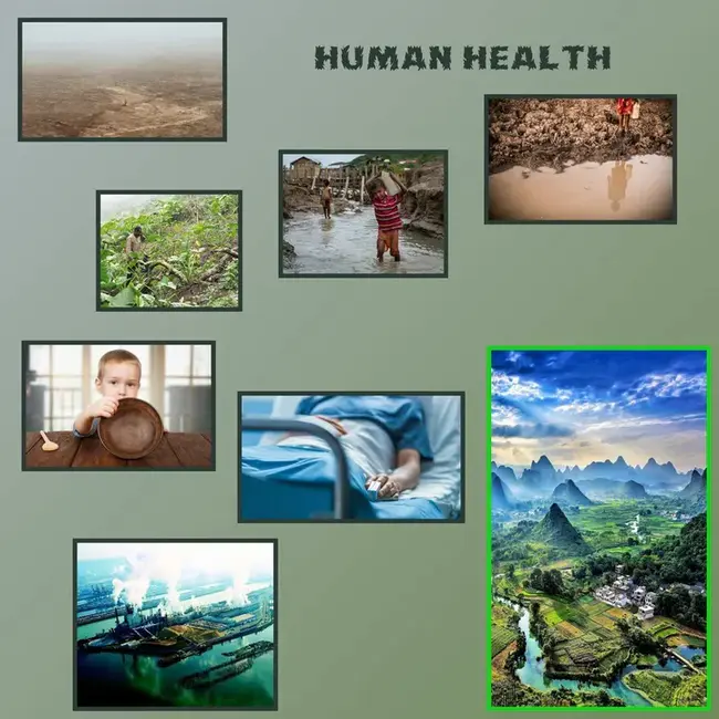 Human Environmental Sciences : 人类环境科学