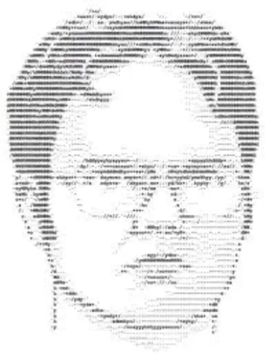 Printable ASCII : 可打印ASCII