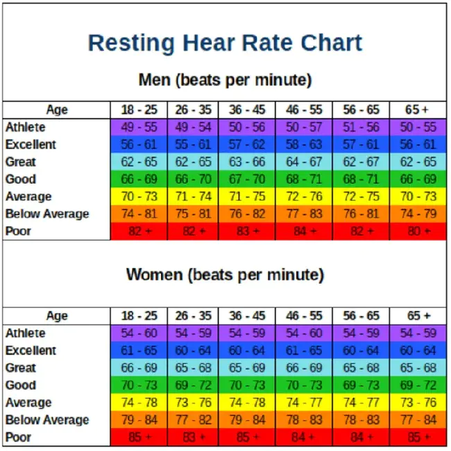 Heart Rate Reserve : 心率储备