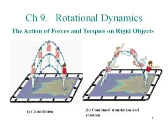 Intensive Rotational Grazing : 集中轮牧