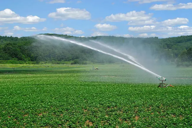 Irrigation Technology Center : 灌溉技术中心