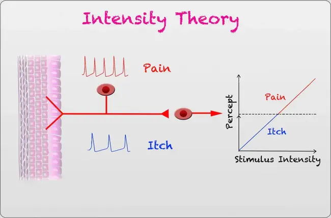 Intensity Units : 强度单位