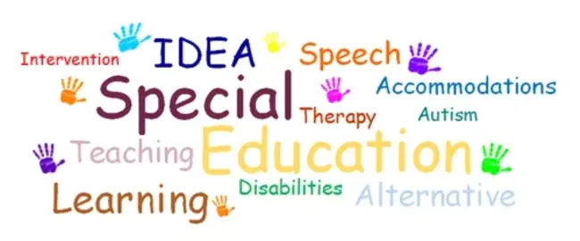 Special Education Action Network : 特殊教育行动网