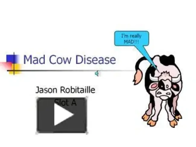 Mad Cow : 疯牛