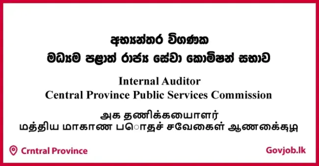 Professional Auditor Bulletins : 专业审计师公告