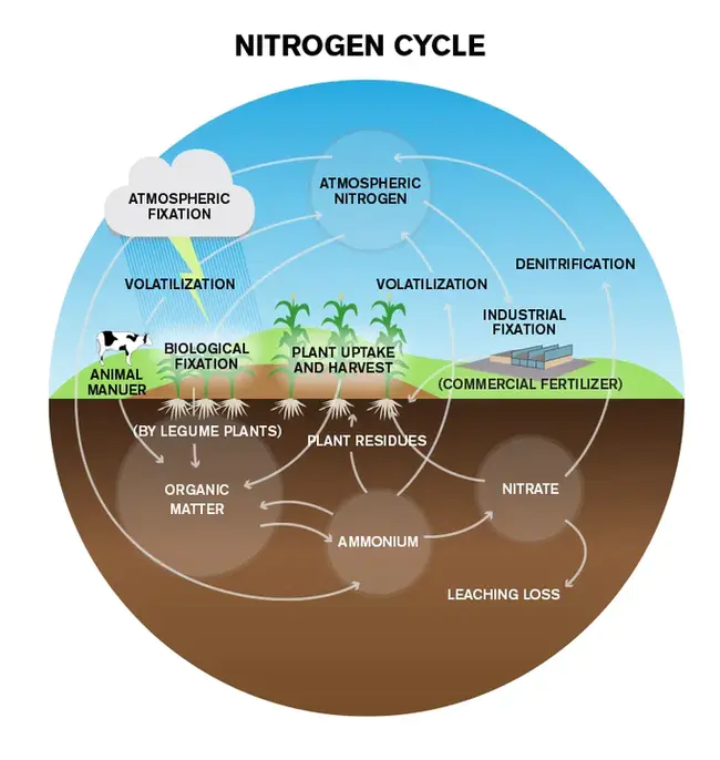 Organic Rankine Cycle : 有机朗肯循环