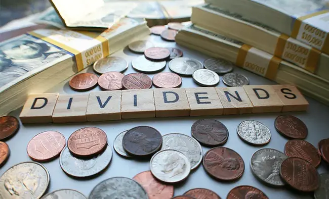 Dividend Re-Investment Plan : 股息再投资计划