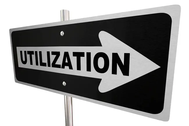 Utilization Review : 利用率审查