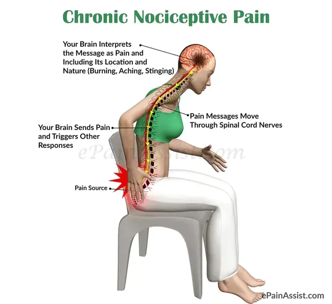 Nociceptive Trigeminal Inhibition : 伤害性三叉神经抑制