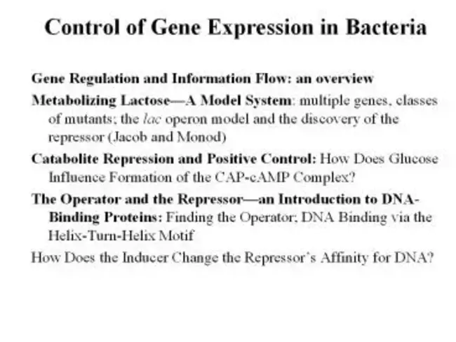 Serial Analysis of Gene Expression : 基因表达序列分析