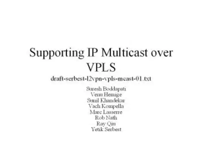 Lightweight Multicast Services : 轻量级多播服务