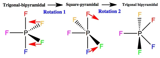 Pseudorotation Phase Angle : 假旋转相位角