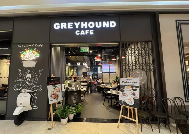 Greyhound and Lurcher Welfare Rescue : 灰狗和潜伏者福利救援