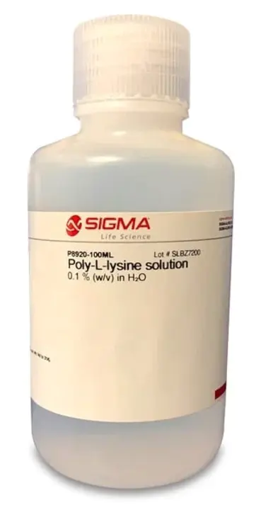 Poly Ethylene Imine : 聚乙烯亚胺