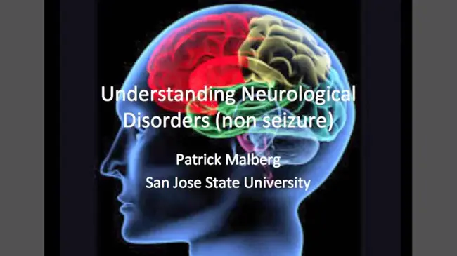 Neurologically Typical : 神经系统典型