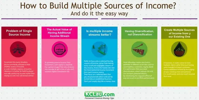 Multiple Sources Of Income : 多种收入来源