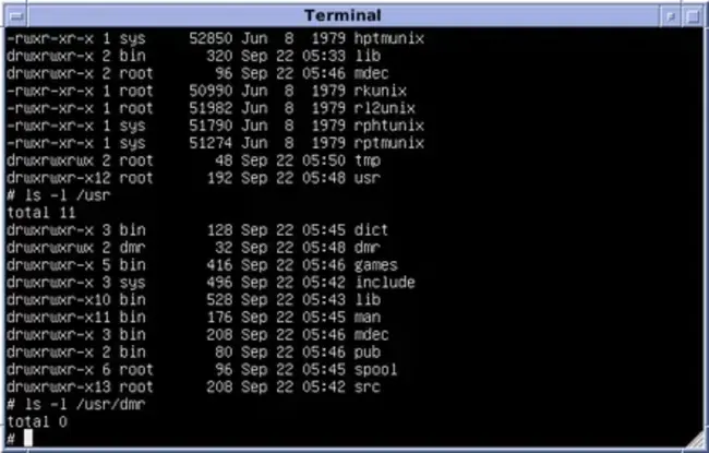 Unix Amiga Emulator : Unix amiga模拟器