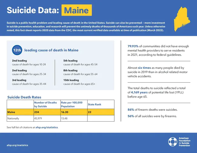 Maine Educational Assessment : 缅因州教育评估