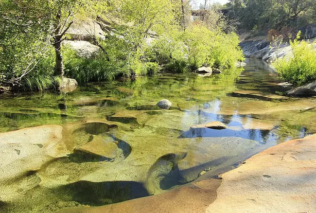 Cosumnes River College : 科森尼斯河学院